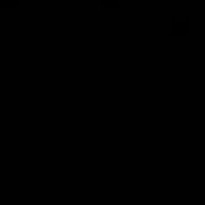 Meet your Posher, Leo